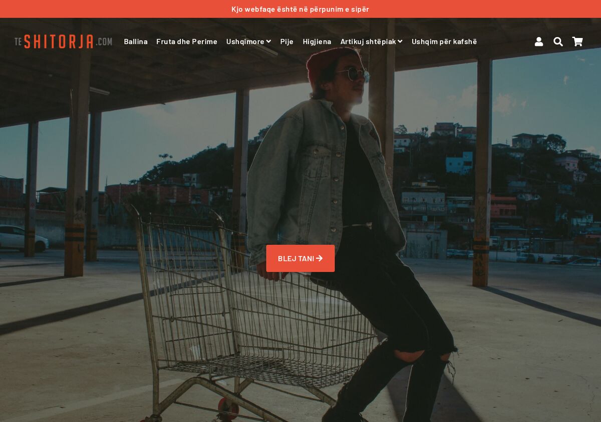 Te Shitorja — E-commerce · Branding